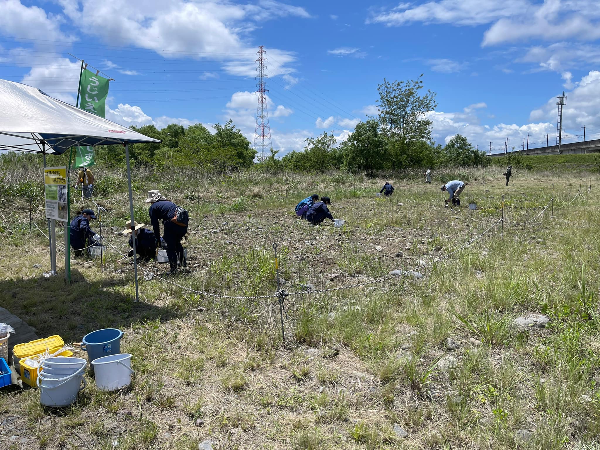 管理地内の除草作業